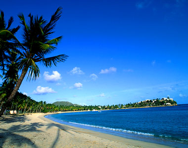 antigua-beach