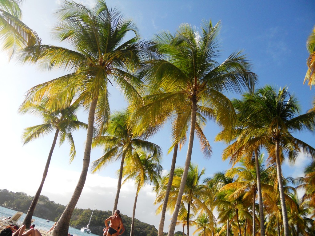 Guadeloupe 103